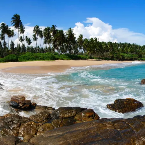 Sri Lanka entre récifs et épices (15 Plongées) Visuel